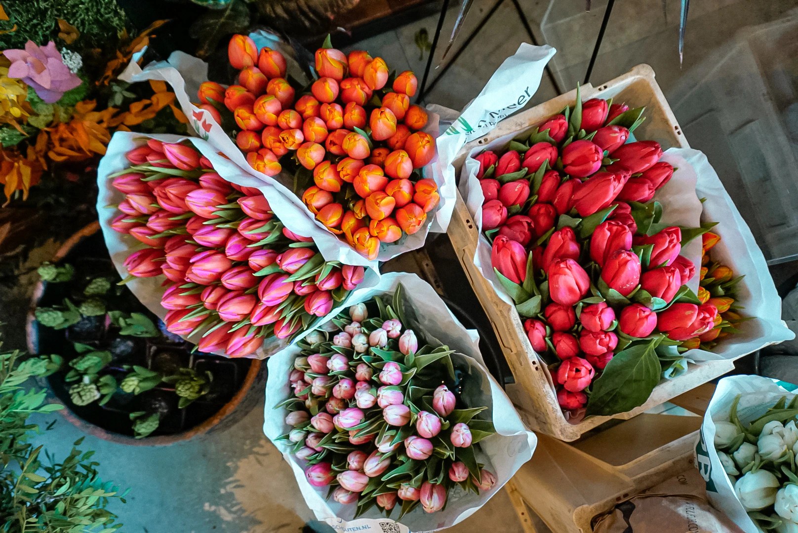 9 Decor ideas to brighten up your apartment for spring