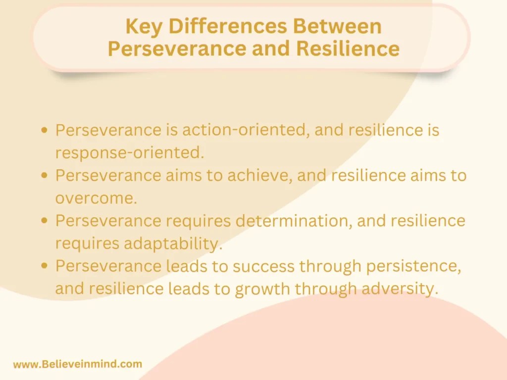 Perseverance vs Resilience Which One is The Most Important