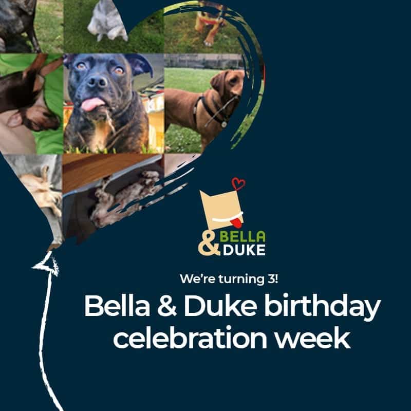 Celebrating our birthday week! ⋆ Bella & Duke Raw Food