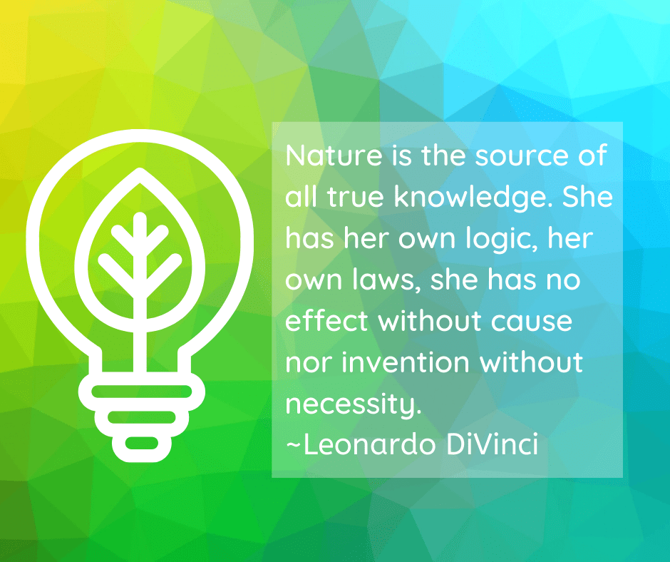 Education Bellbrook Sugarcreek Parks District