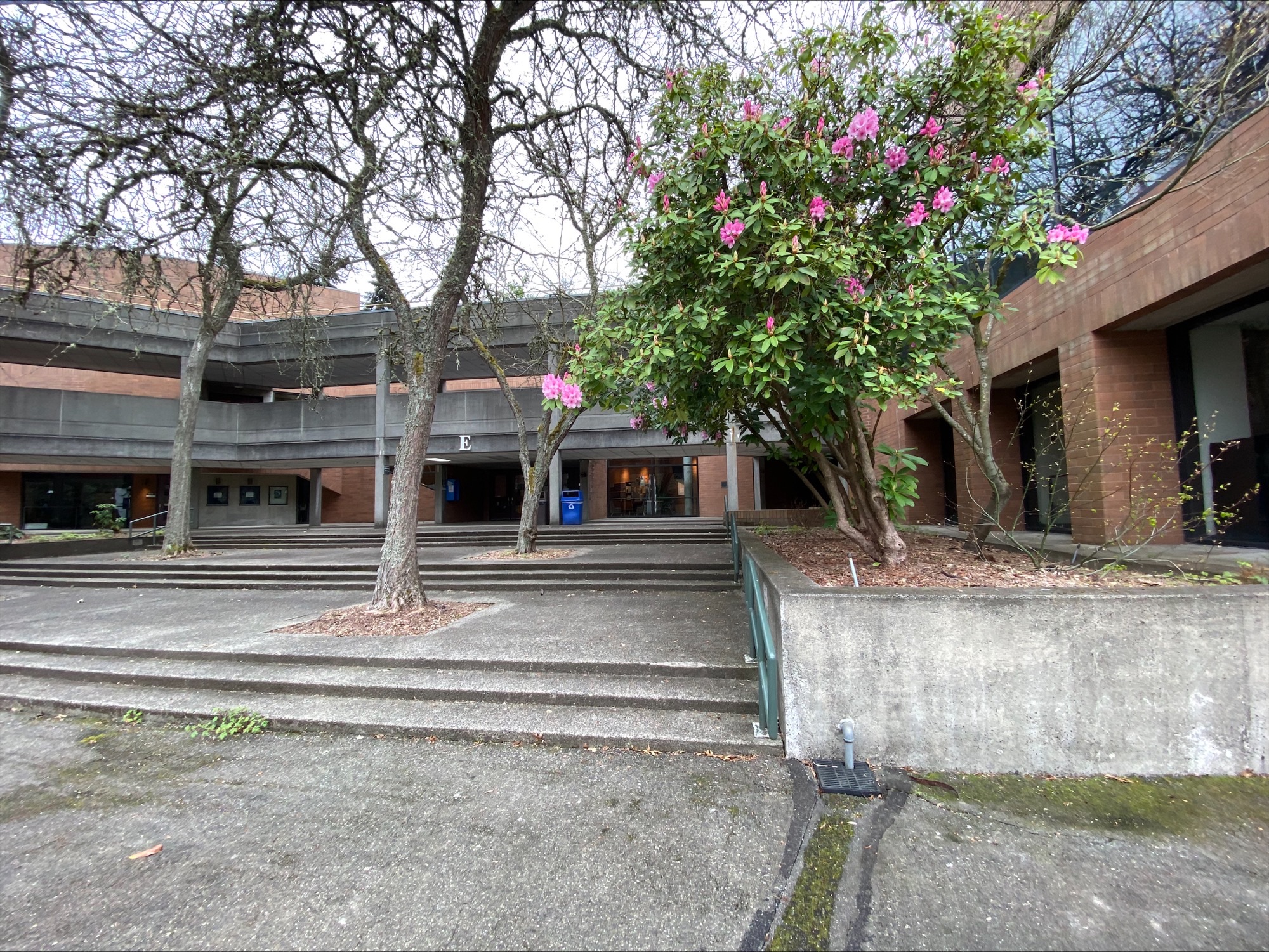 OLSBC Student Shares the Ten Best Things About Bellevue College