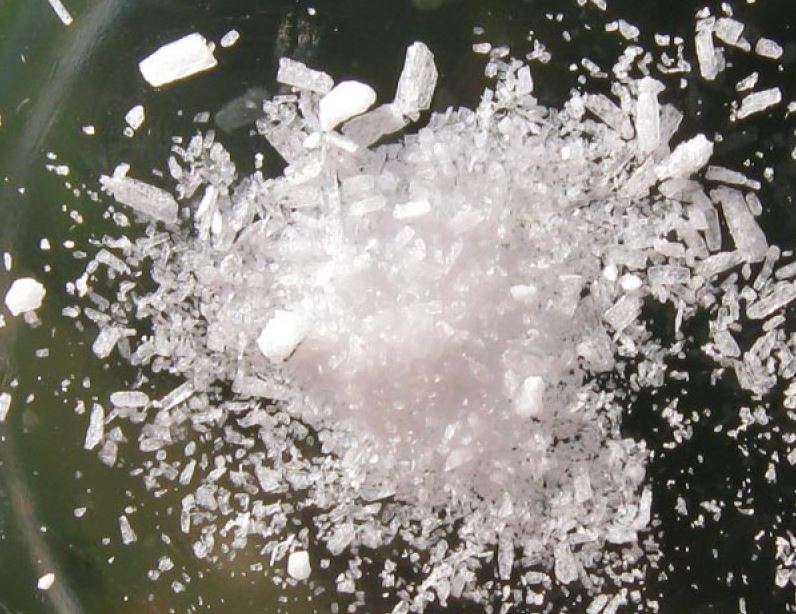 Is Msm Okay For Dogs