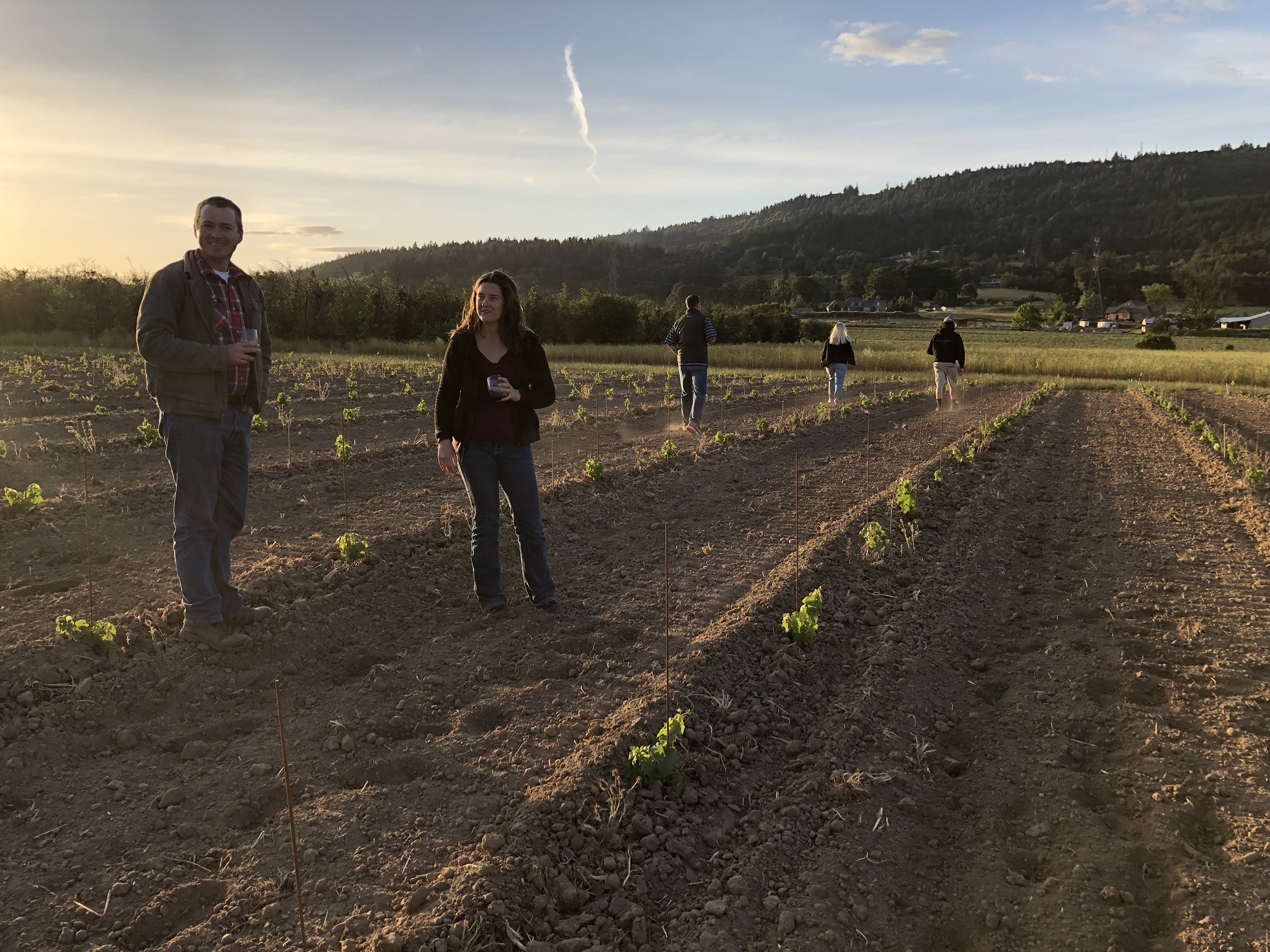 Vineyard Bellingar Estates