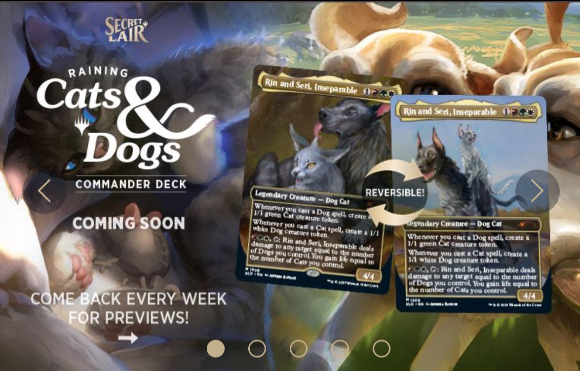 MTG Who Let the Cards Out? "Raining Cats & Dogs" Secret Lair Deck