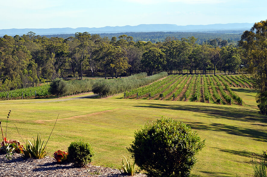 Huntlee Estate, North Rothbury Bellriver Homes