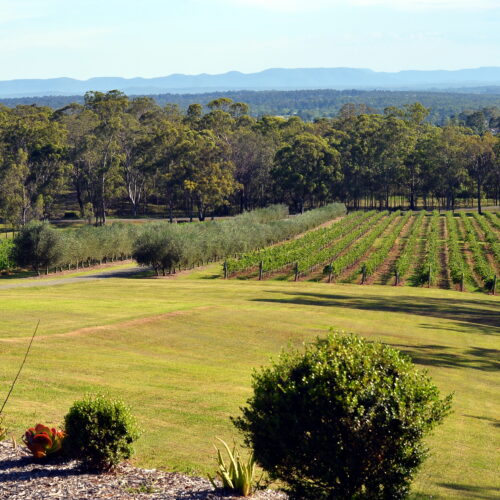 Huntlee Estate, North Rothbury Bellriver Homes
