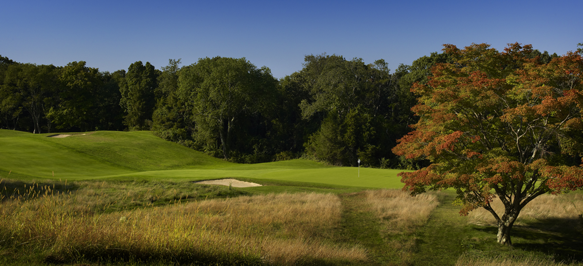 Belmont Country Club Homepage