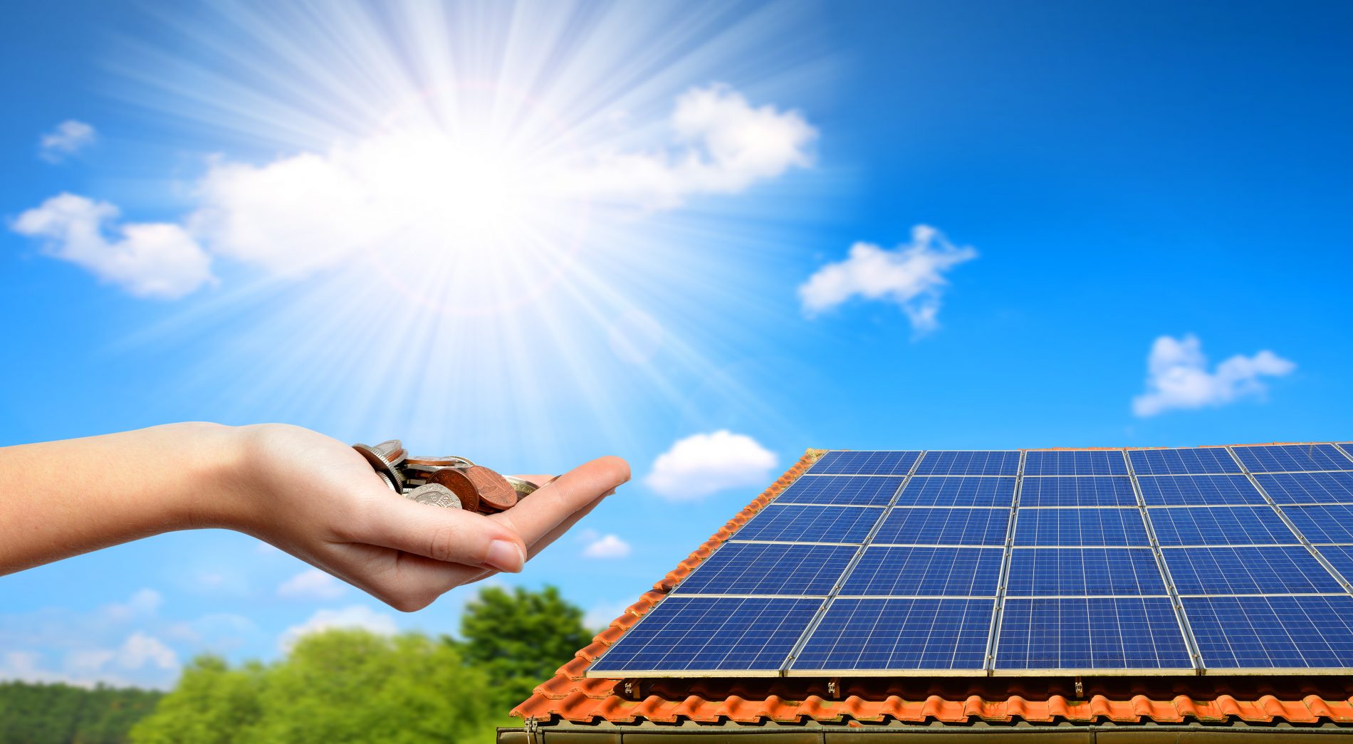 Savings with Solar Belmont Solar
