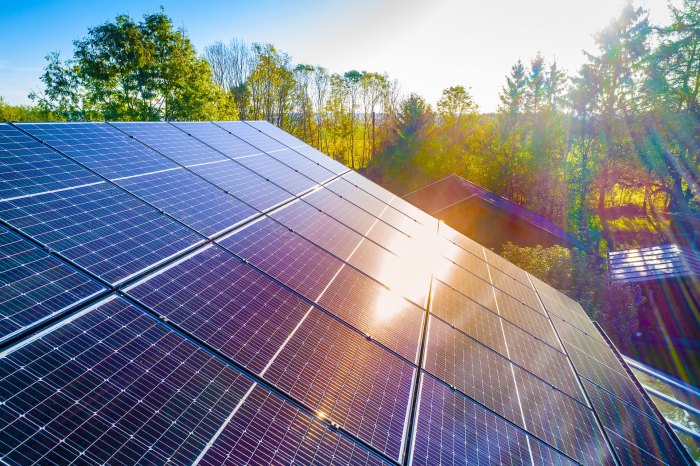 Are Solar Panels Bad for Your Health? A Comprehensive Look