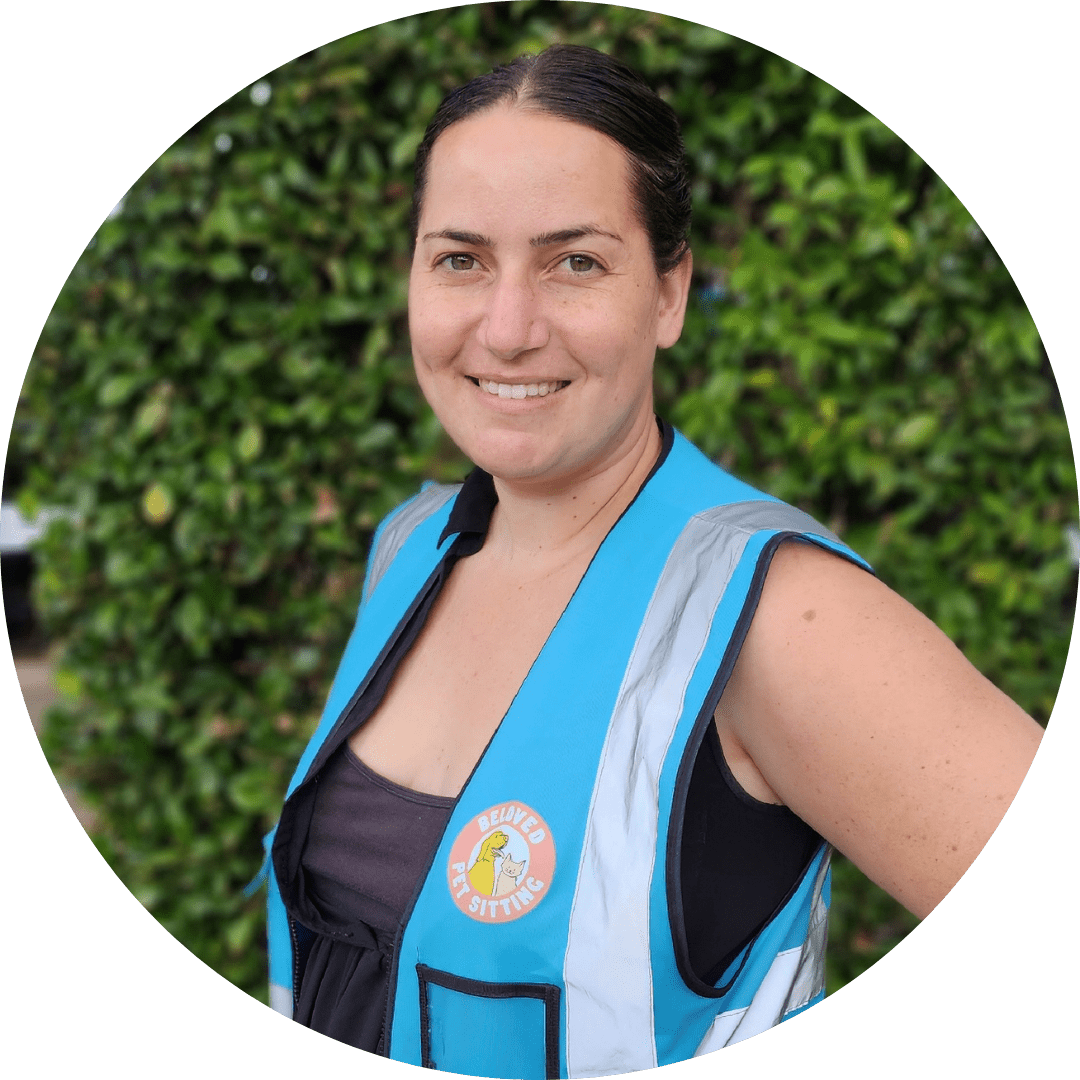 BeLoved Pet Sitting Best Pet Sitters In San Diego, CA