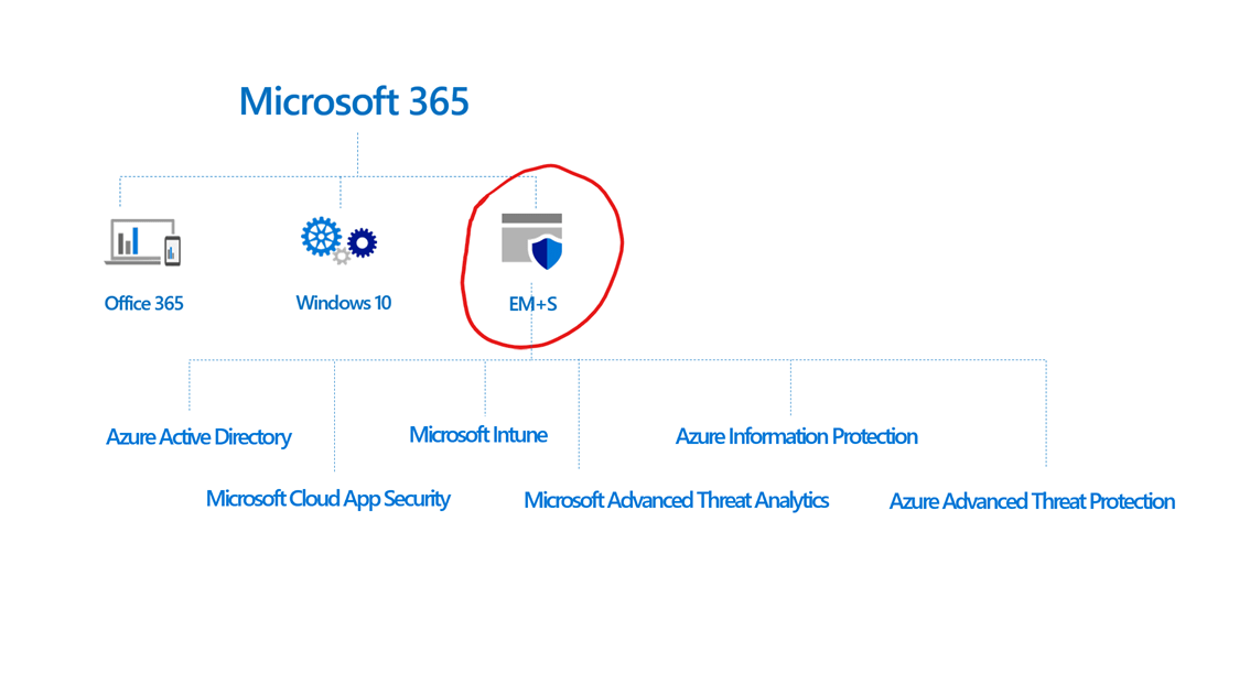 Microsoft 365 vs Office 365