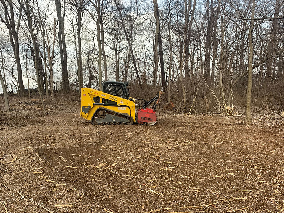 Land Clearing Benchmark Land Management West Chester and Cincinnati
