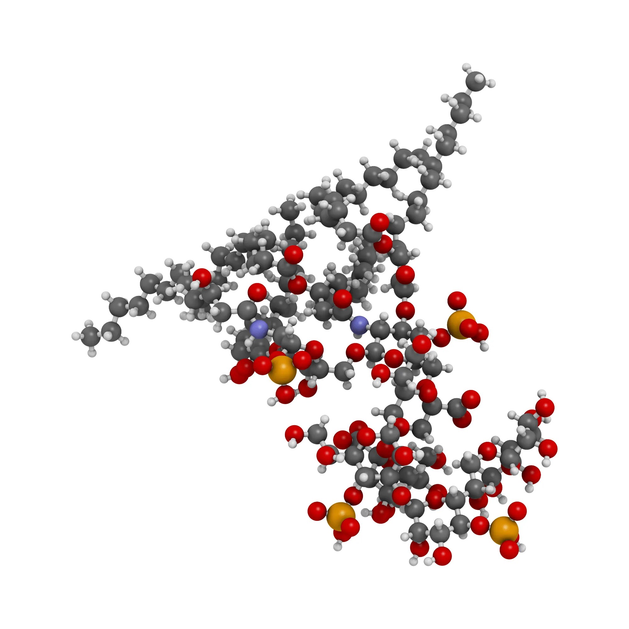 How to Prevent Endotoxin Contamination in Sterile Pharmaceutical