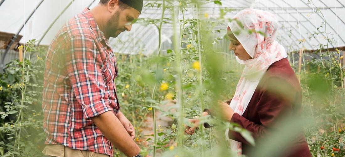 This FamilyRun Upstate New York Farm Produces Organic, Ethically