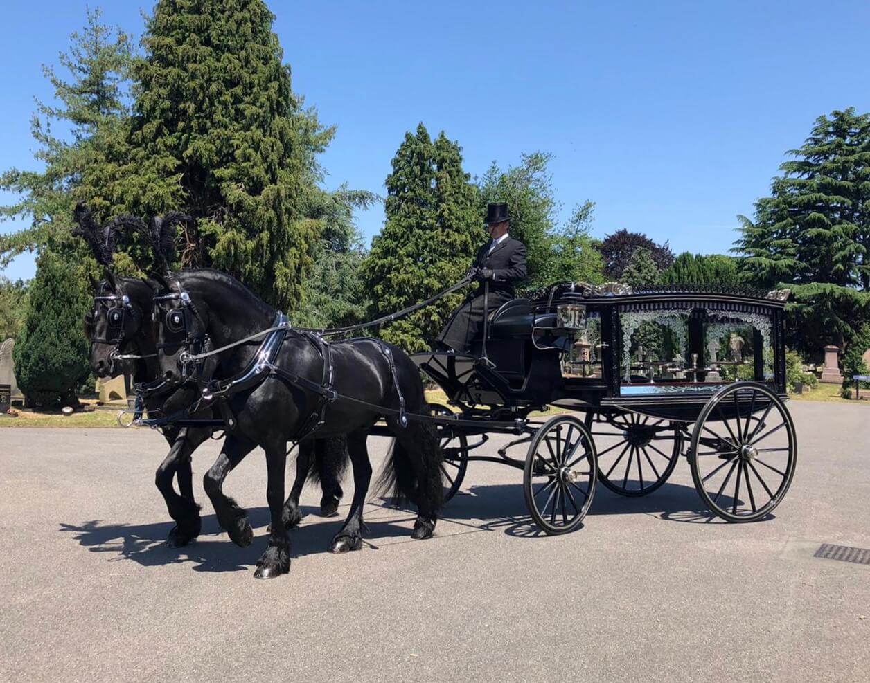 Traditional Horse Drawn Hearse and Carriage Funeral Transport