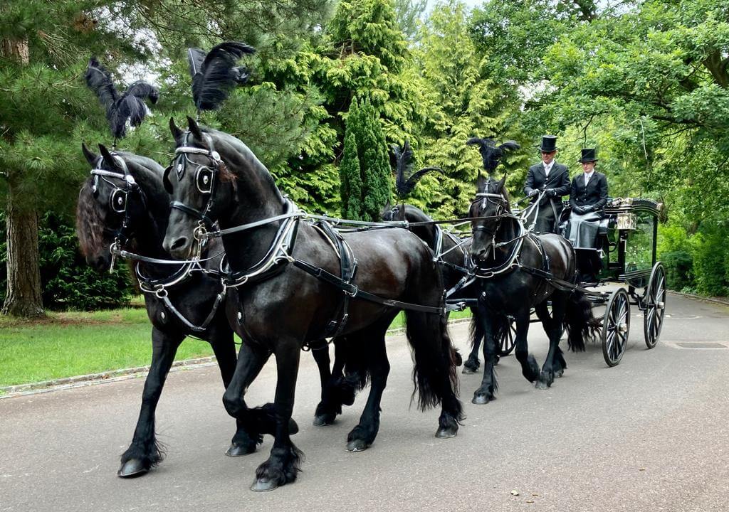 horse and carriage funeral cost