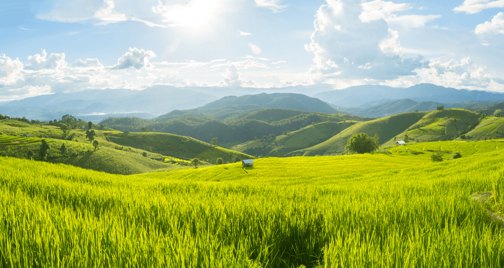 Thinking of Living in Thailand? Here's How Much It Will Cost You in 2024 Benoit Properties