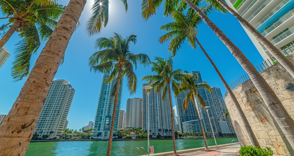 Neighbourhood Spotlight Where to Buy Property in Miami Right Now