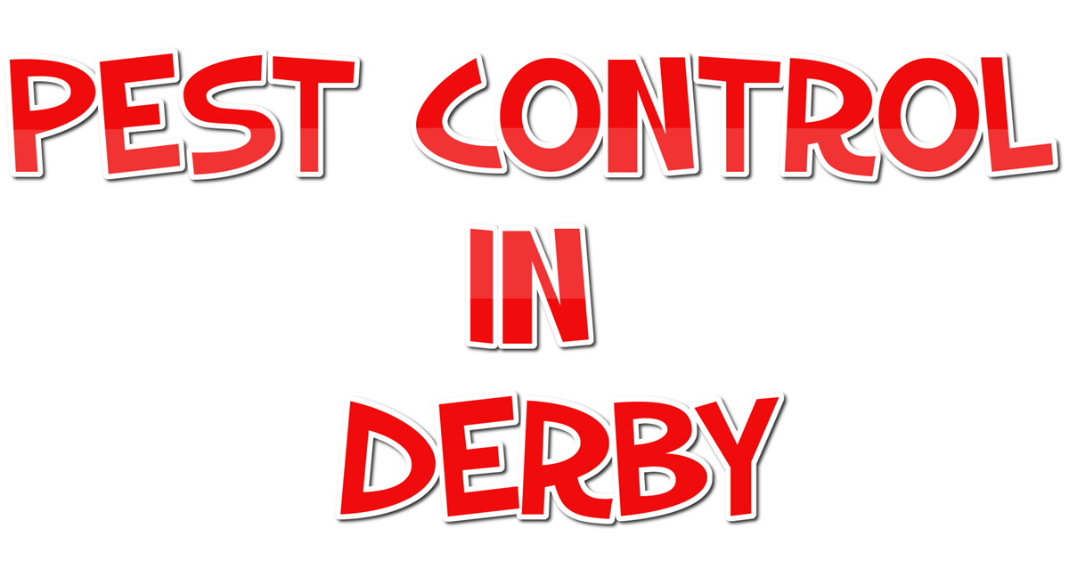 Find a Pest Control Company in Derby Bulletins