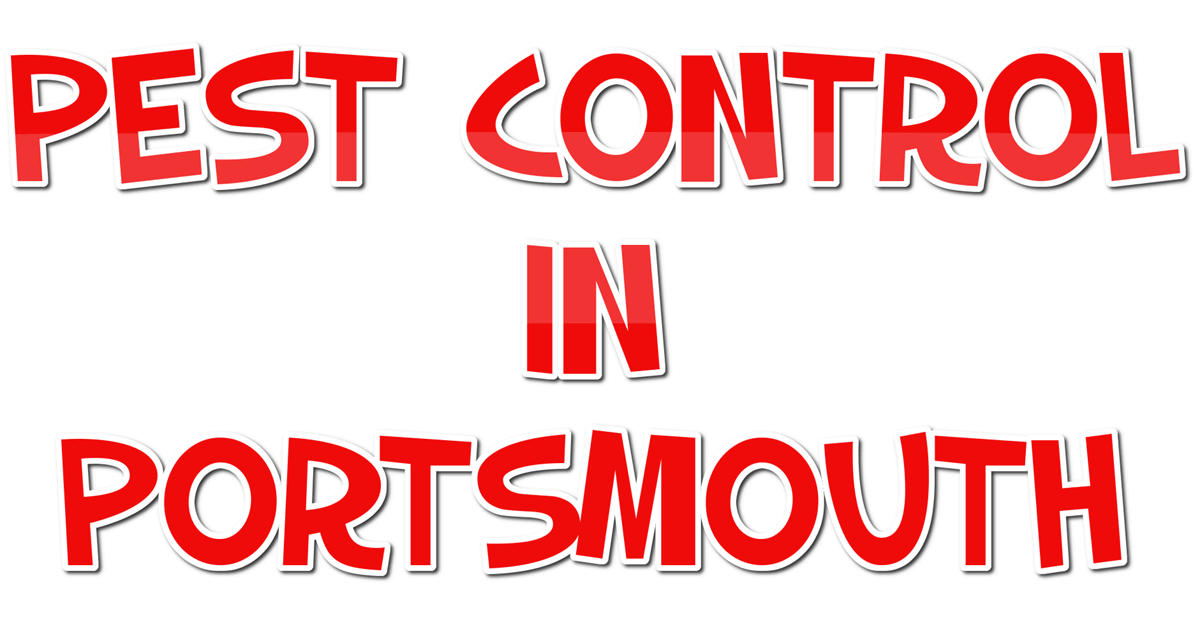 Pest Control Portsmouth, NH Quick Dependable Pest Control.