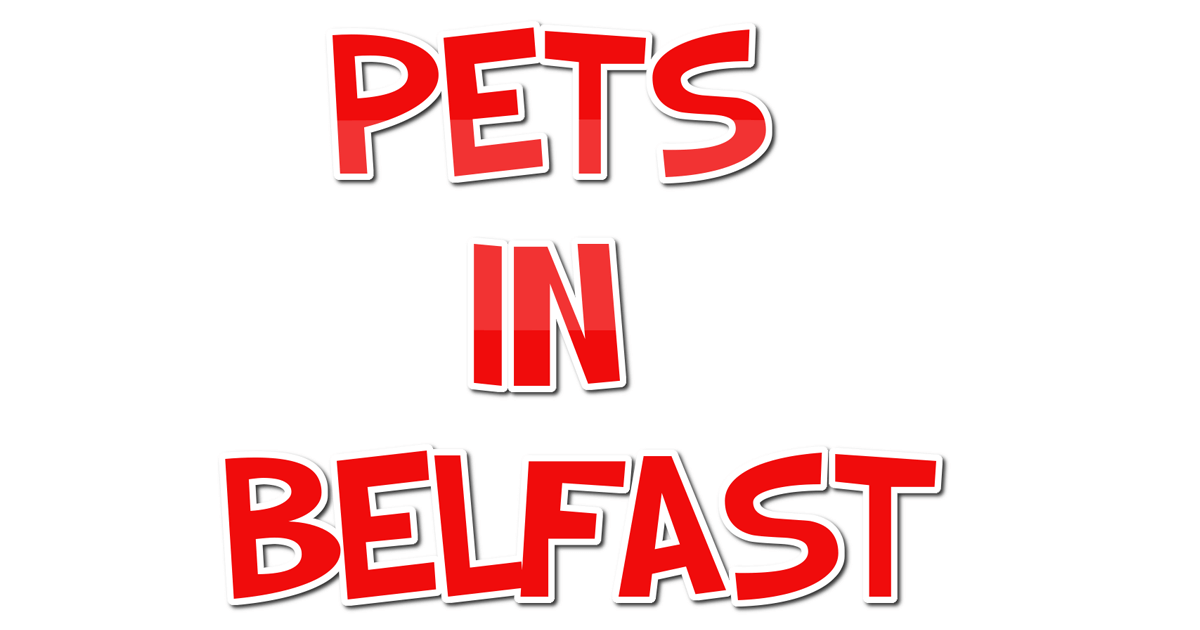 Find a Pet Shop in Belfast Bulletins
