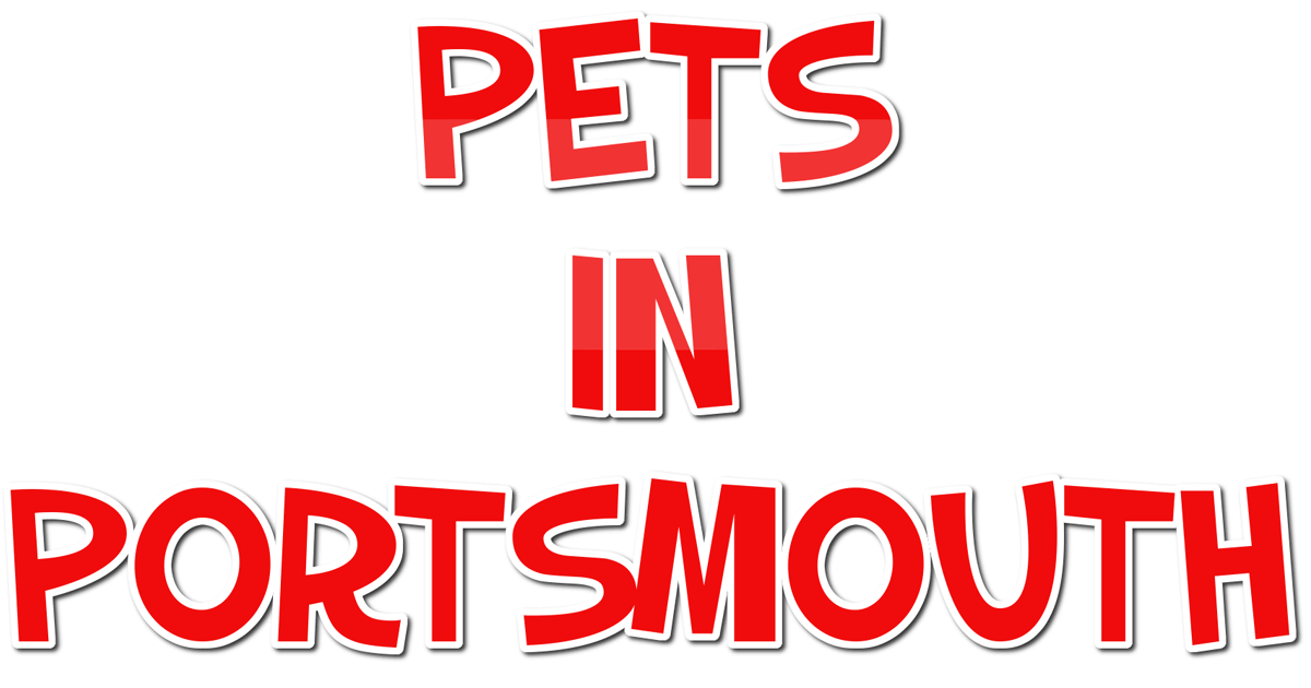 Find a Pet Shop in Portsmouth Hampshire Bulletins
