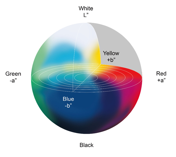 How do We Define ‘Accurate’ Color?