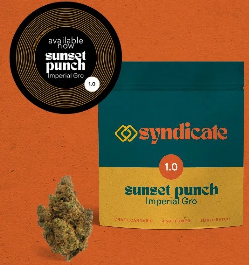 From Craft PreRolls To Exotic CBD Beverages, These Top Brands' New