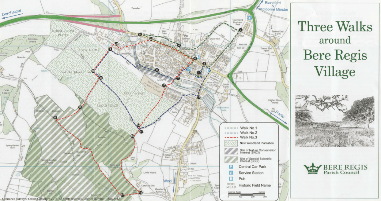 Walks around Bere Regis