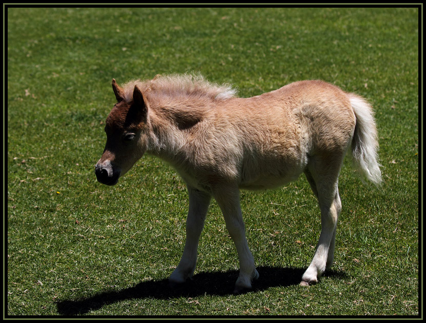 Art's Work Quicksilver Ranch
