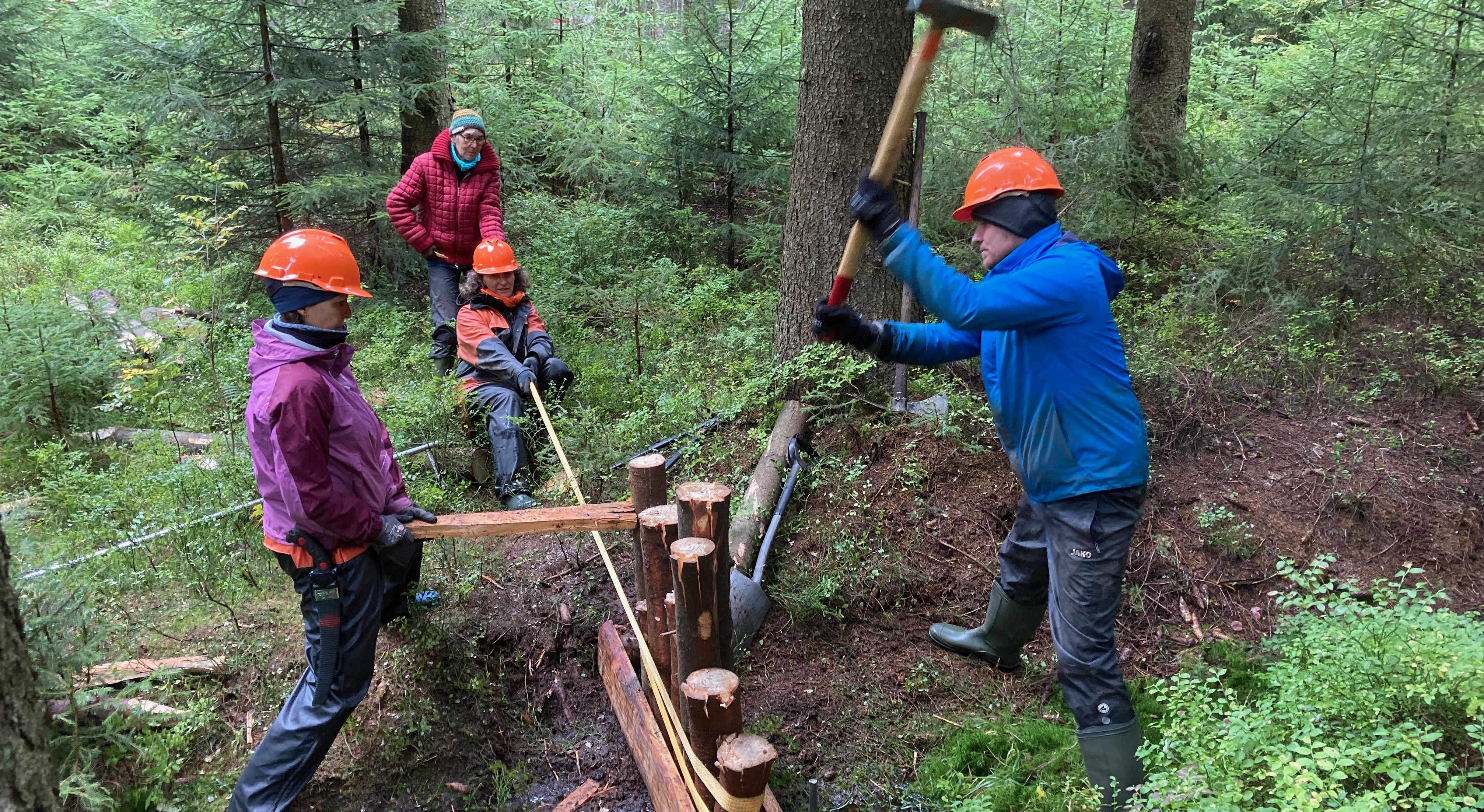 Holz Im Wald Selber Machen In Mv falz holz selber machen