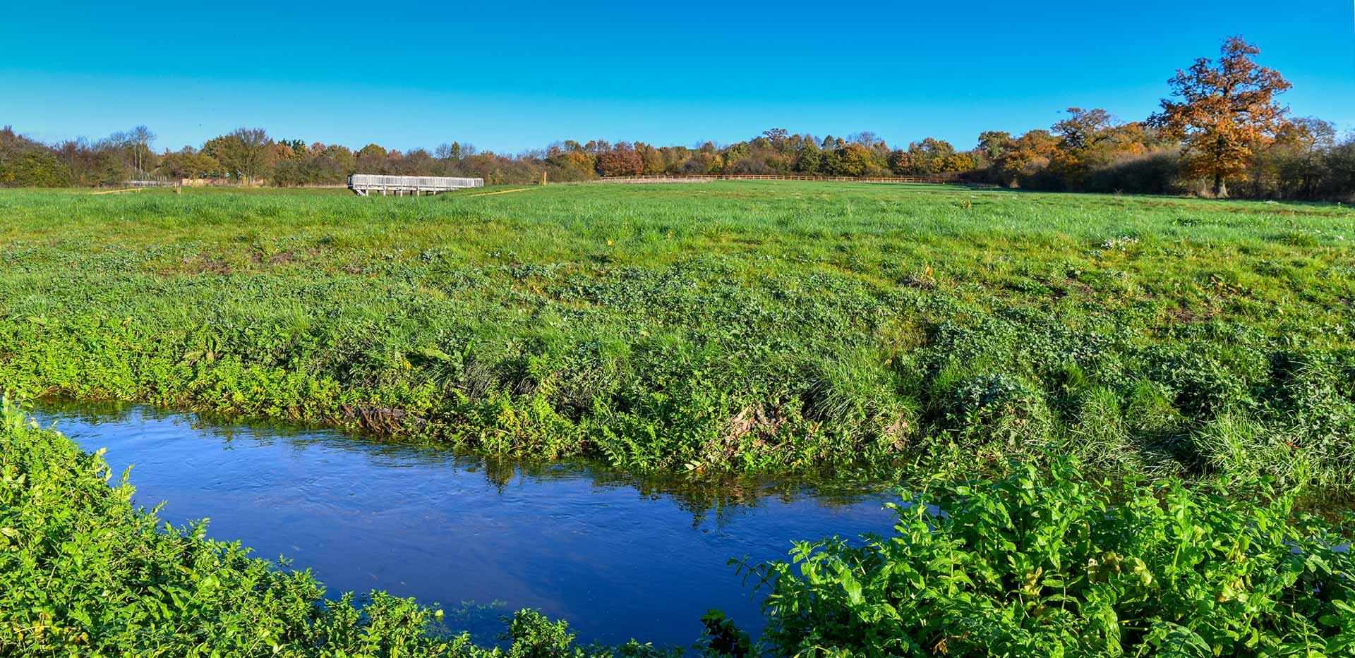 Eldridge Park Homes All Sold Wokingham Berkeley Group