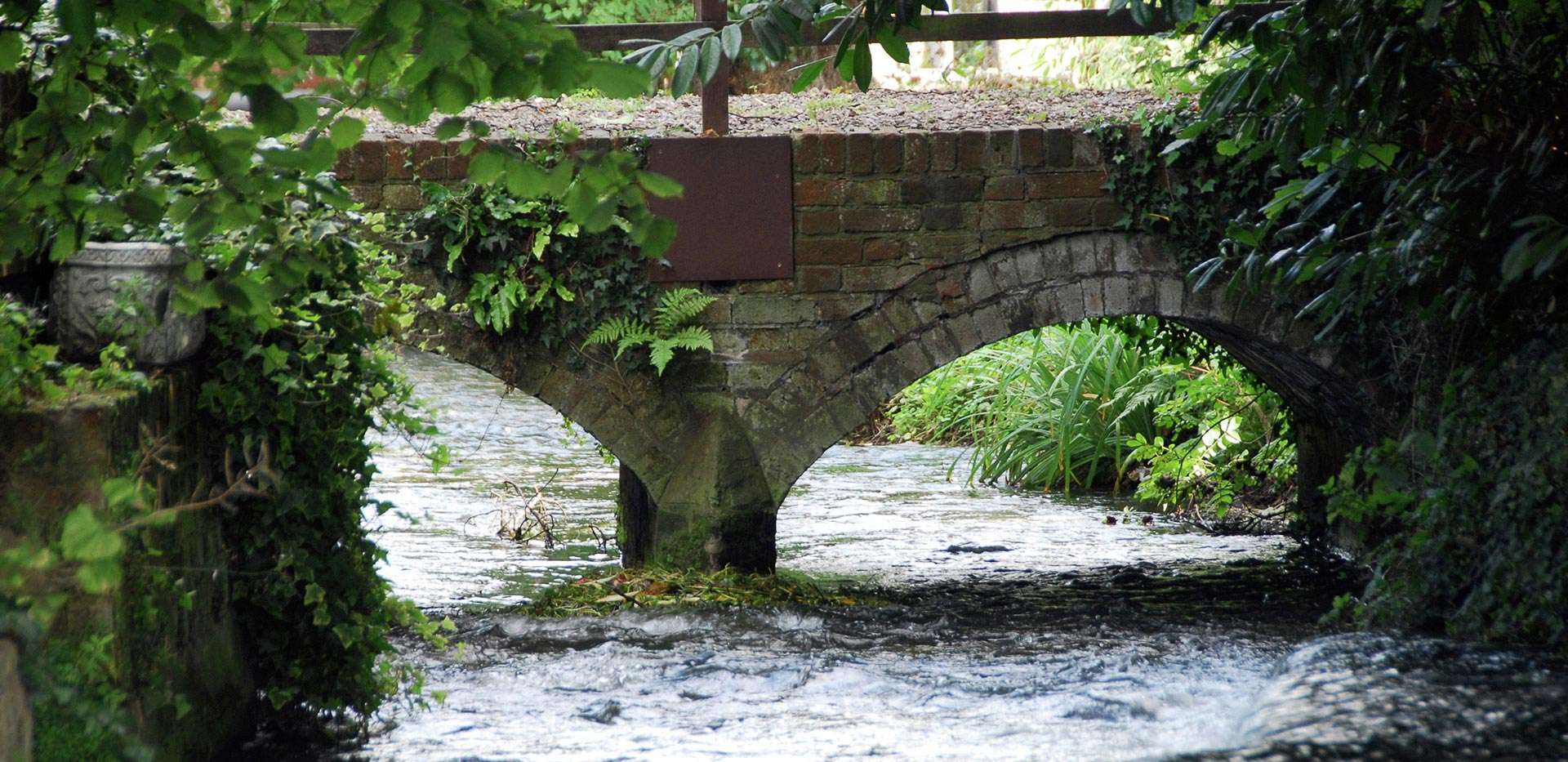 Wye Dene Homes All Sold High Berkeley