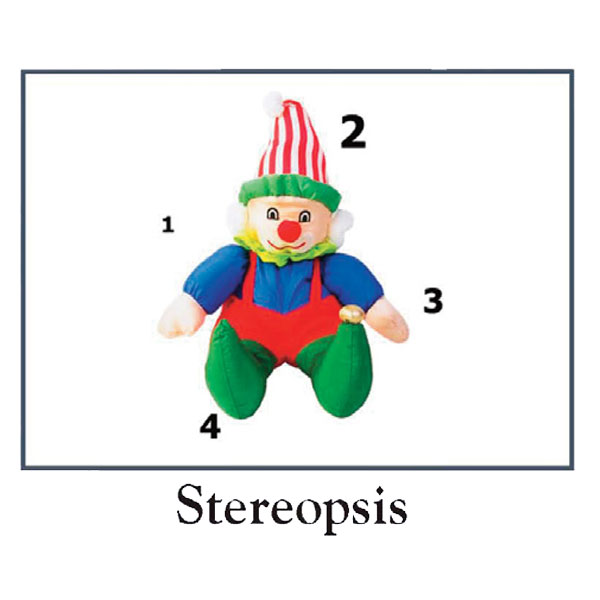 Computer Orthoptics™, Software Bernell Corporation