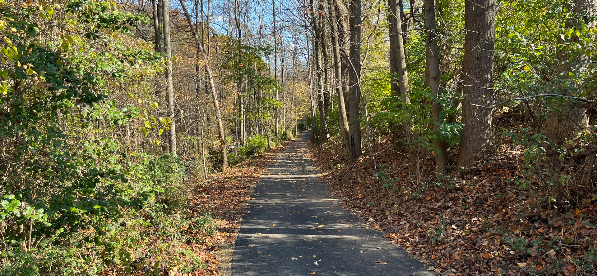 Berryland Farm. A residential community in Oakton, Virginia