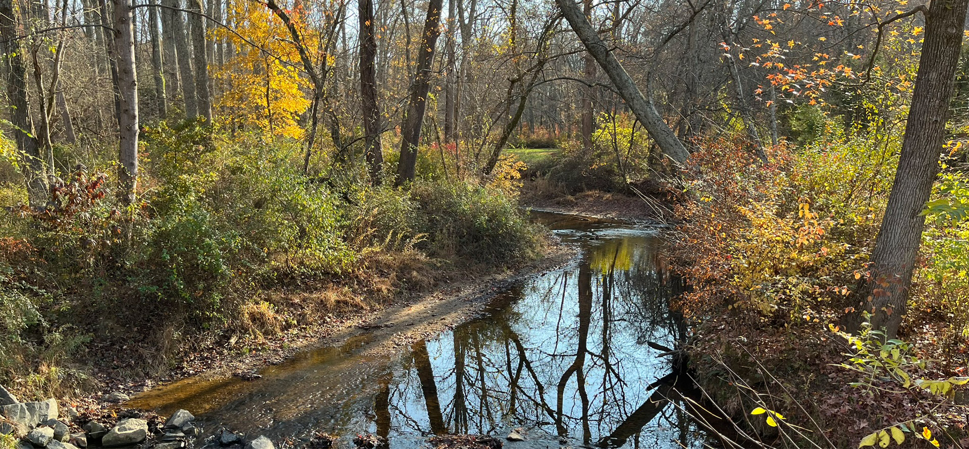 Berryland Farm. A residential community in Oakton, Virginia
