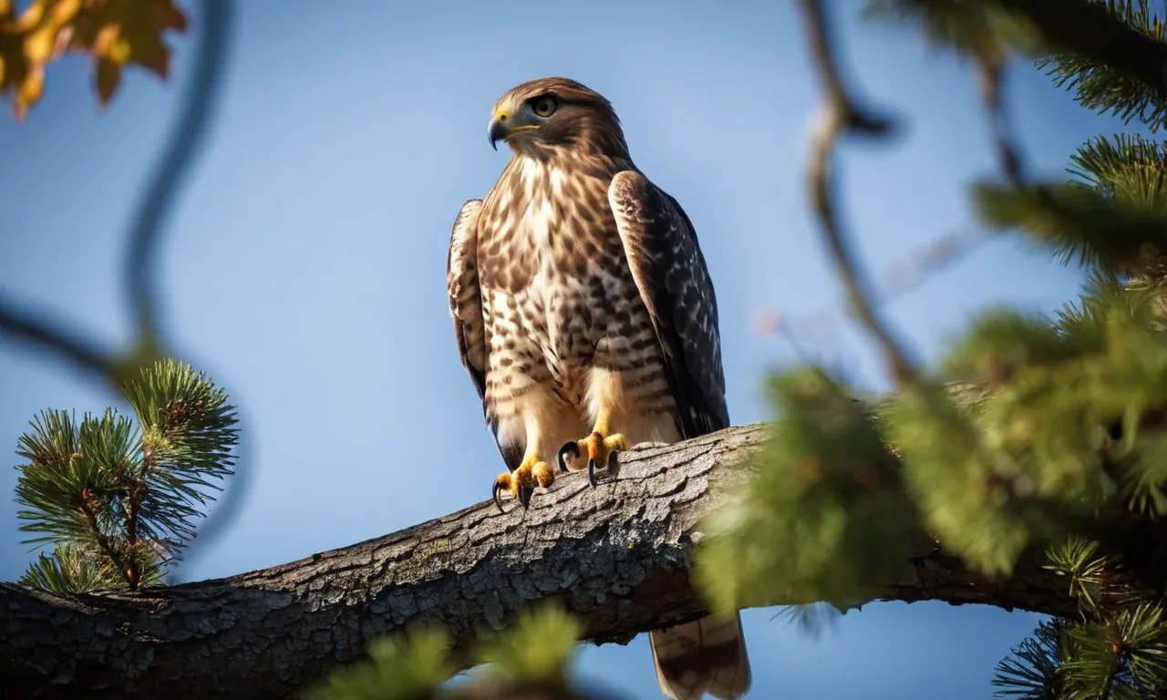 Monocular Vision Animals How OneEyed Creatures See The World Berry