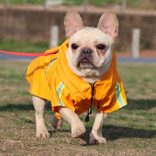 wholesale dog harness,adjustable dog harnesses manufacturers,dog