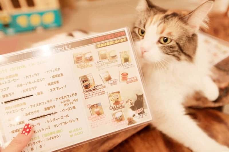 Travel Gawker I Want To Go To…Tokyo! BespokeBride