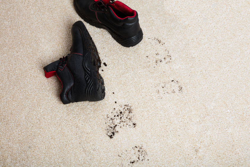 4 Easy Steps To Get Mud Stains Out Of Carpet Best 1 Cleaning and Pest