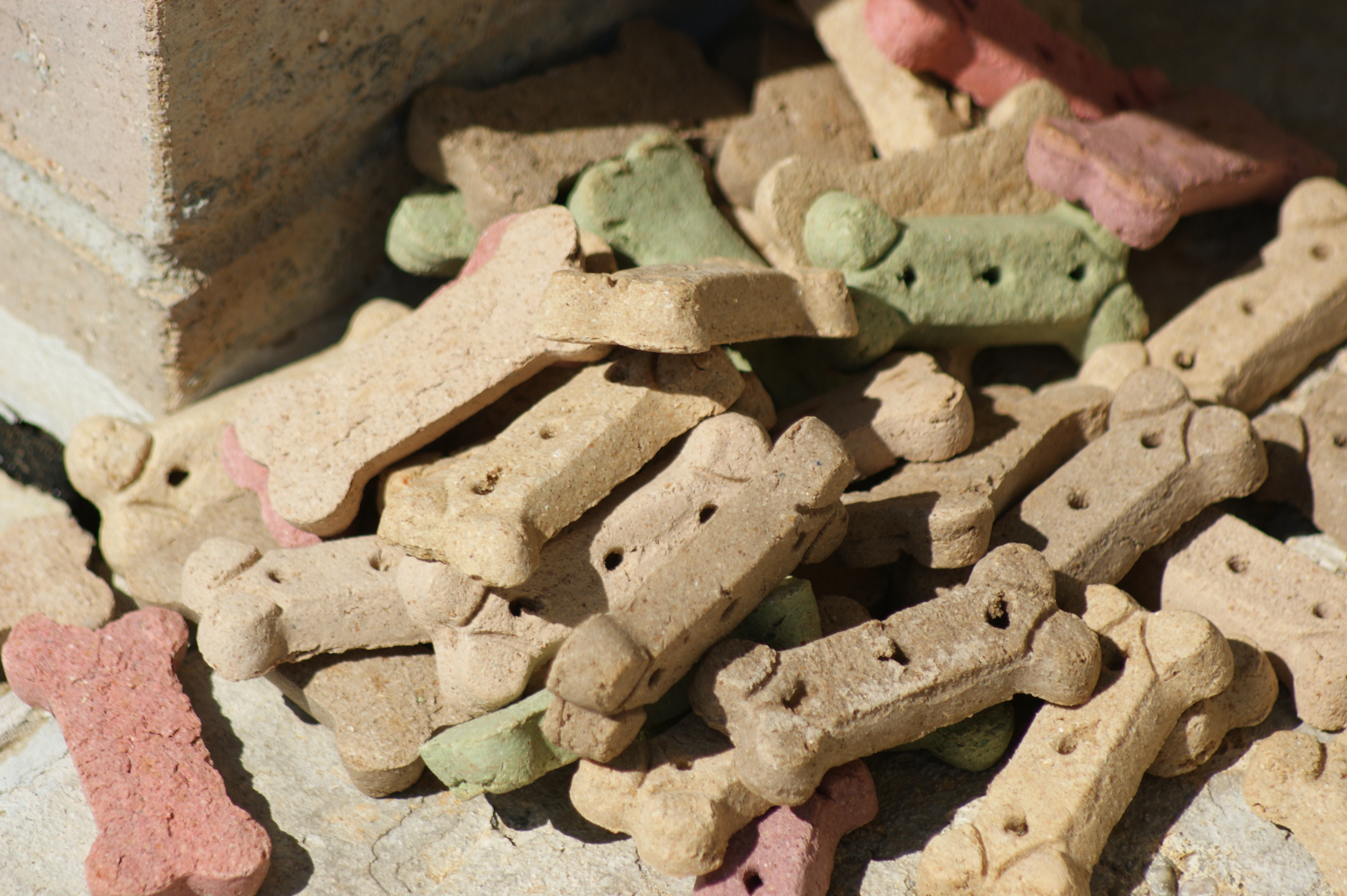 Gluten Free Dog Treats Best Allergy Sites