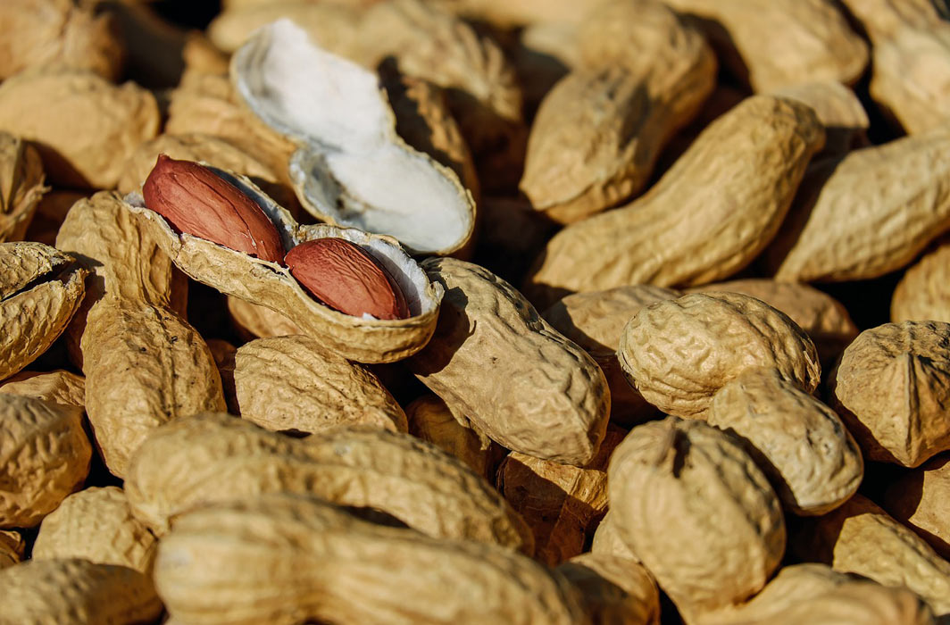 Gene Therapy Study Protects Against Peanut Allergy Best Allergy Sites