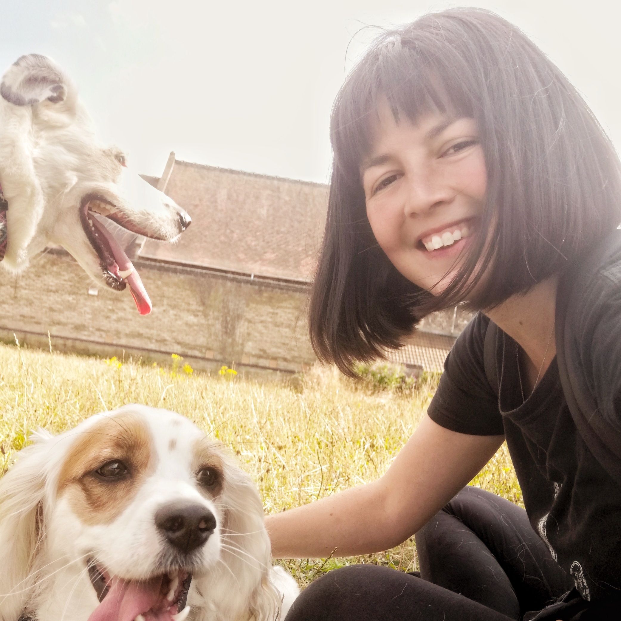 Meet The Team at Best Behaviour Dog Training
