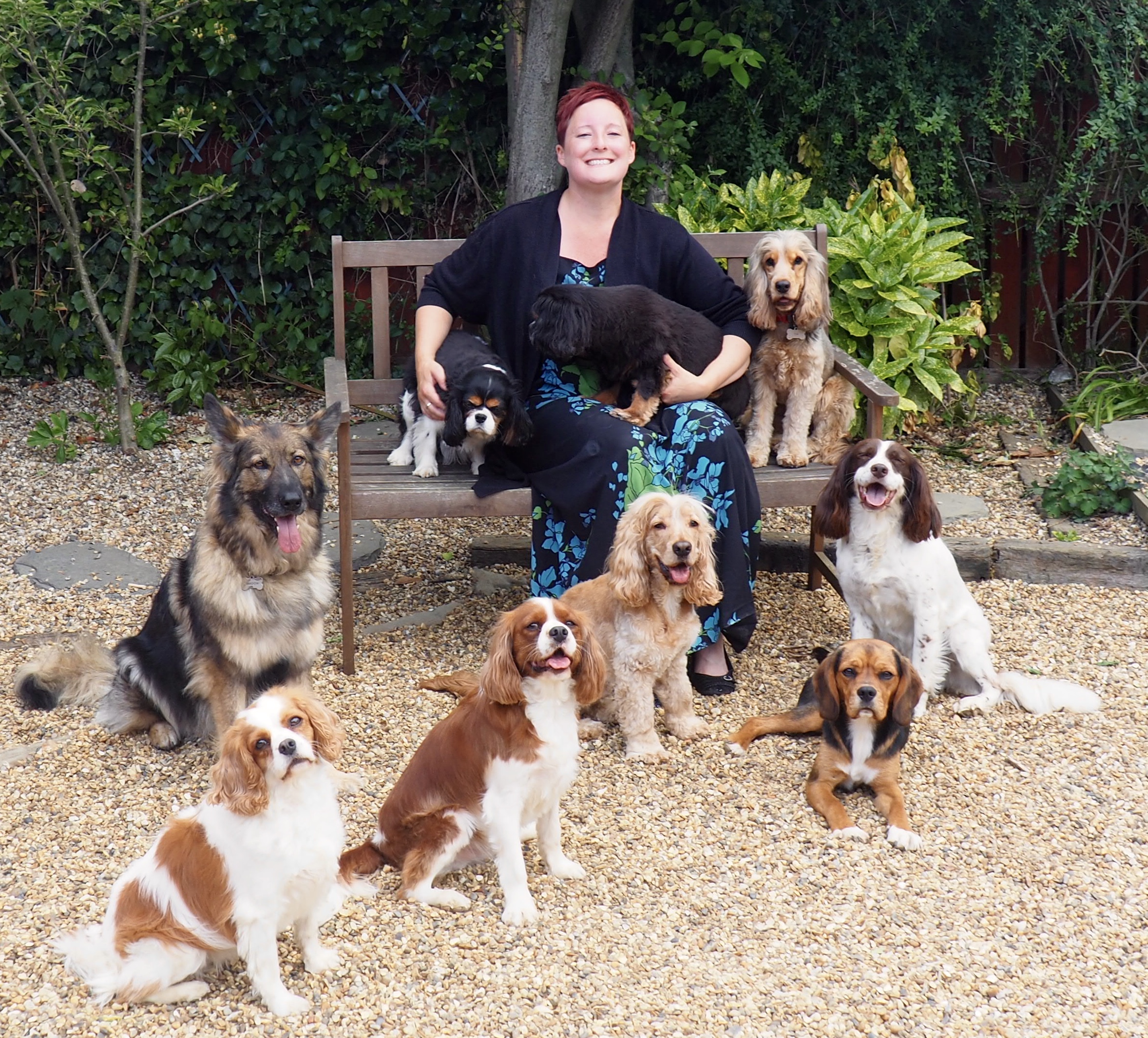 Dog Trainer and Behaviourist Ipswich & Stowmarket Best Behaviour Dog