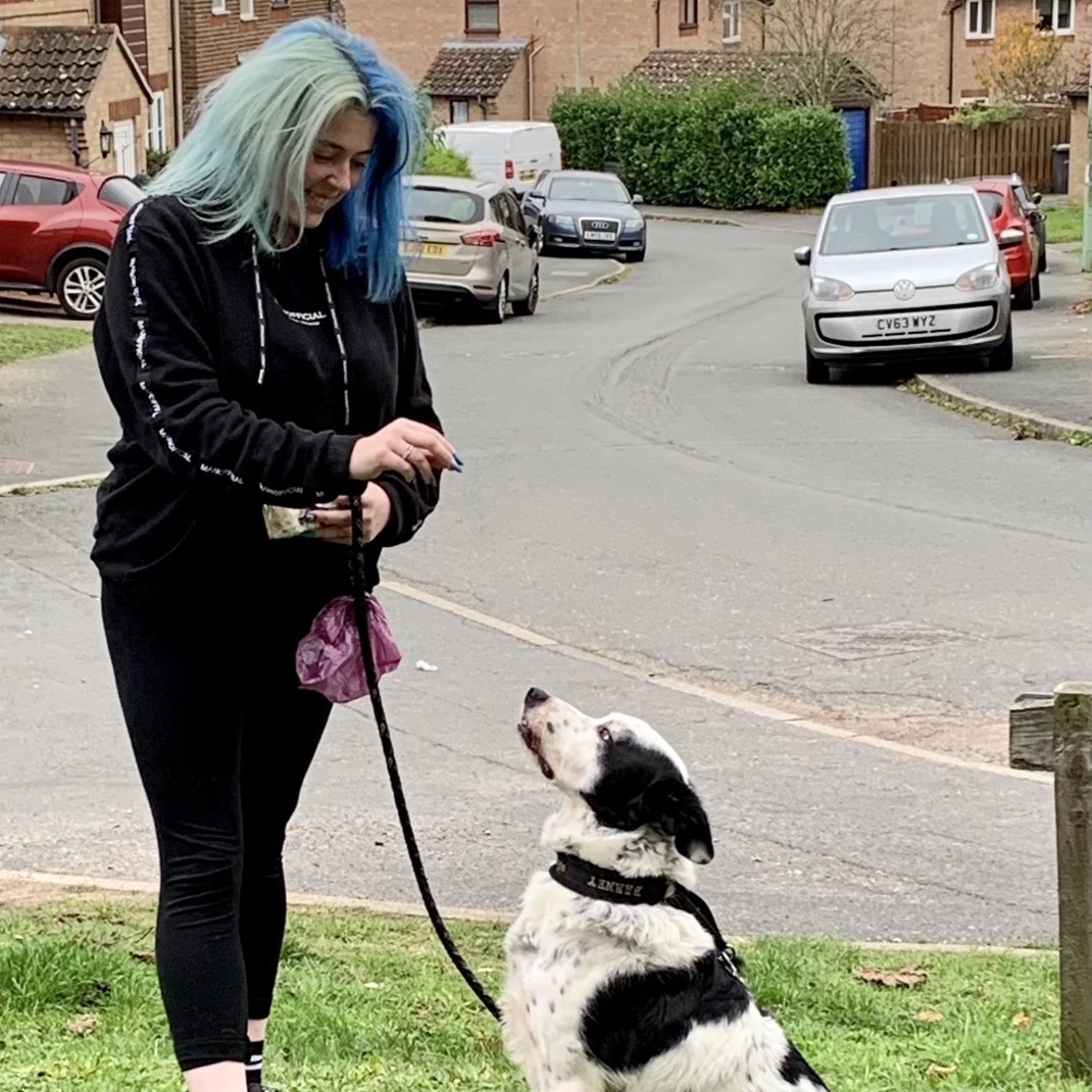 Meet The Team at Best Behaviour Dog Training