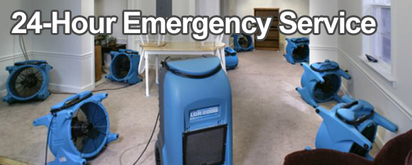 Steam GreenYour Greener Steam Cleaner Green Cleaning At It's Best