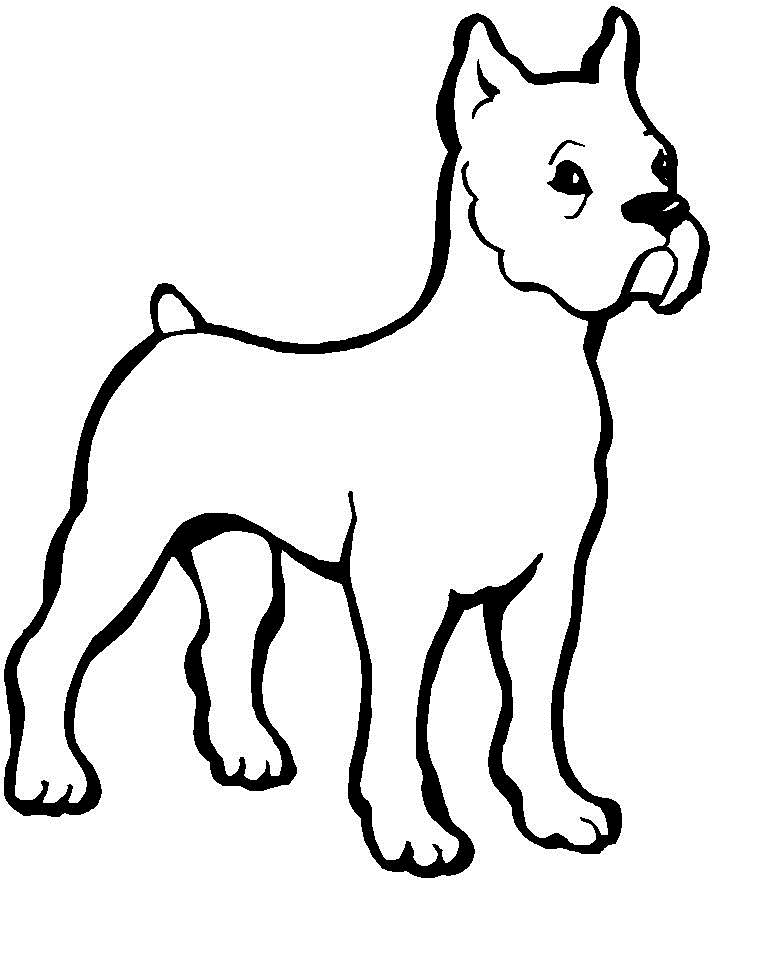 Doge Dog Page Coloring Pages