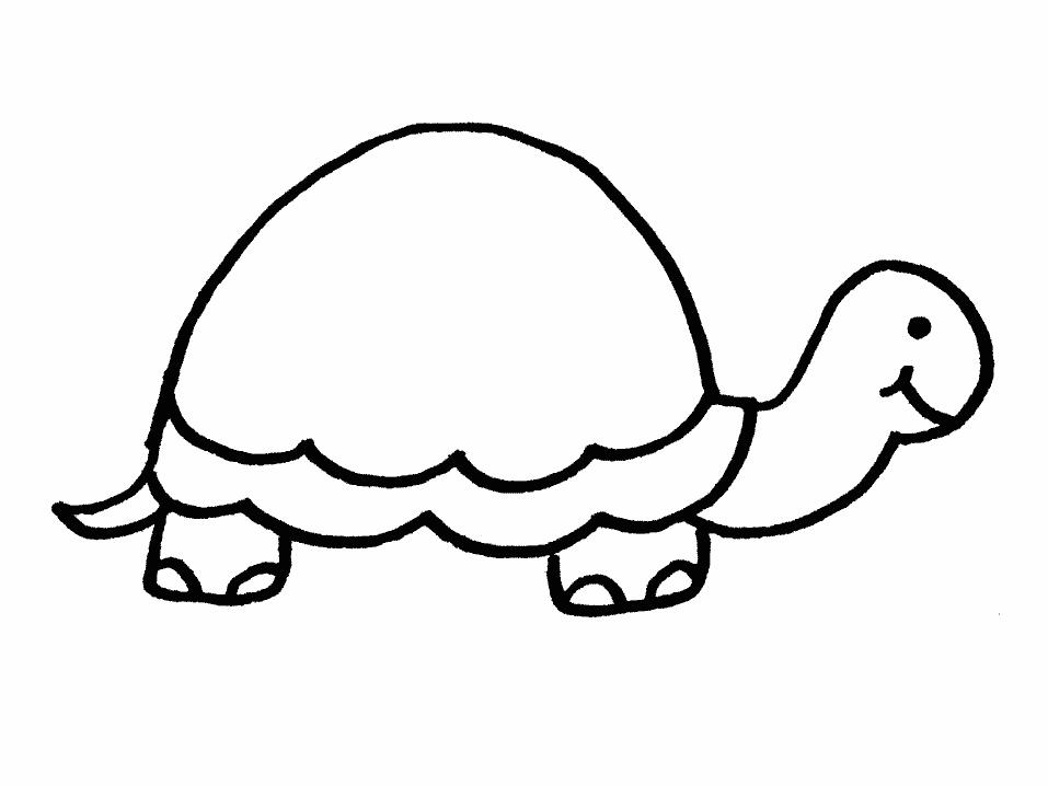 Free Printable Turtle Coloring Pages For Kids