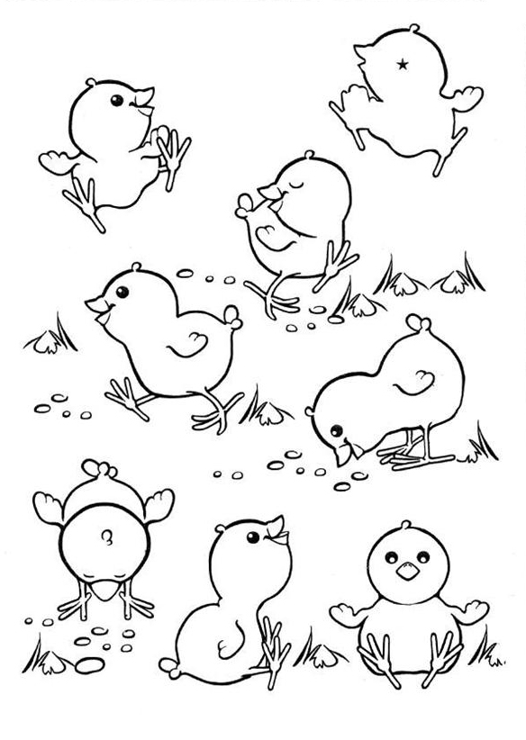 Chick Coloring Page Best Coloring Pages For Kids