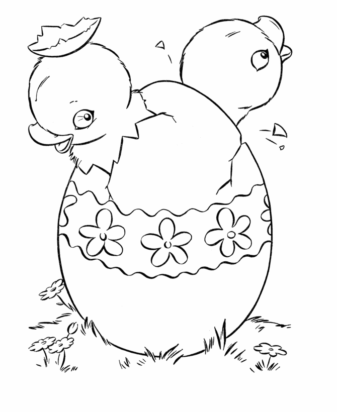 Chick Coloring Page Best Coloring Pages For Kids